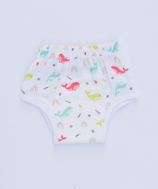 Muslin Padded Underwear 6 Pc Pack Combo 4